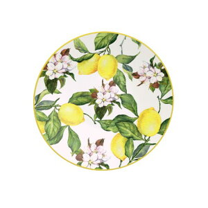 geB[i fU[gv[g J zCg 21cm   M |[Z dqW H@Ή Vv  v uW 96011/106 TRAMONTINA