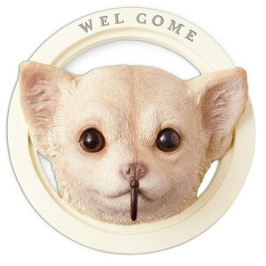 LV} kishima K[fjO  IuWF G  tbN   i` Ck KH-61245 ItzCg TCY