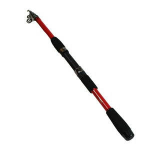 \tBGX^(Solfiesta) J[{pbNbh VOMERO ({) 270