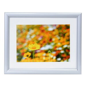 FUJICOLOR A~z A32 Lrl 2L Vo[ 306617