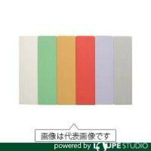 日本統計機 マグネット式片面名札22X82 10個入り緑 S251GN