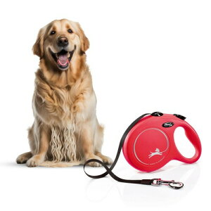 tLV (flexi) j[NVbN e[v L(50kg) 5m bh (p[h)