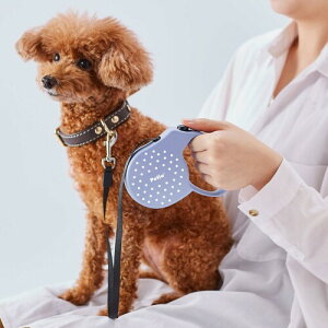 yeBI (Petio) pLk[h [[hAIRpXe X[Nu[