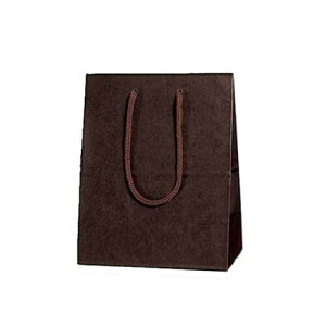 �V���W�} �w�C�R�[ ��� ���� �J���[�`���[���o�b�O 20-12 �u���E�� 20x12x25cm 10��