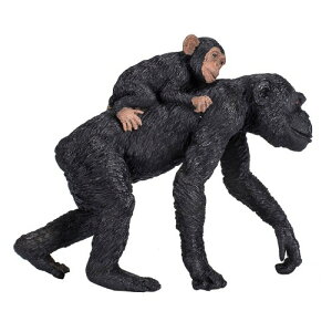 ���W��(Mojo) �t�B�M���A �`���p���W�[�ƐԂ���� 387264