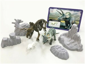 F ~[WAAR gPgvX (hς݁EgXPgE~jXPgEĩtBMAZbg)