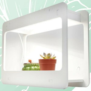 Y A琬Cg GOAL 420mm×290mm×140mm