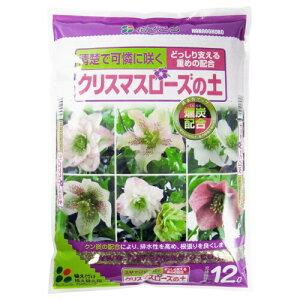 Ԃ NX}X[Y̓y NYz 12L