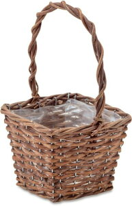 |bVrO Jo[ K[foXPbg XNGA MTCY 11604