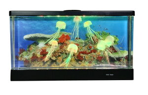 CVO ANAENQ Ch W450×H245×D70mm ubN