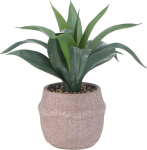 sf(Fujiboeki) tFCNO[ CeAO[ lHϗtA 40×s40×40cm AKx  Zg|bg 41135