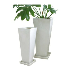 COVENT GARDEN AbVEOXNGA2_Zbg PX-09