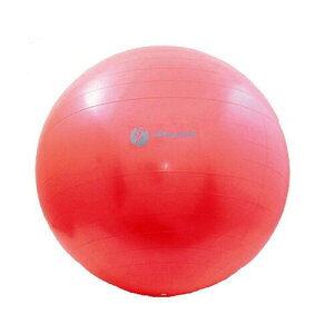 TNCf(SAKURAI) Promark(v}[N) 싅 oX{[ x2 ԗiďC 65cm TPT0268