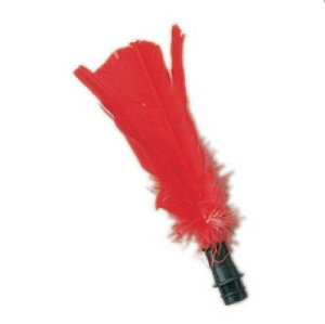 SUNLUCKY(サンラッキー) インディアカ用シャトル羽 SS-F2