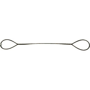 TRUSCO(�g���X�R) �ʊ|�����C���[���[�v �i���� 16mmX5m TWD16S5