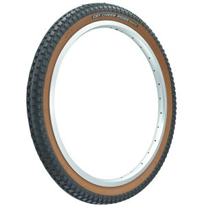 `FV^C(CST) ] ^C 20×2.125 (CHEER RIDER) C727R ubN/uE C727R