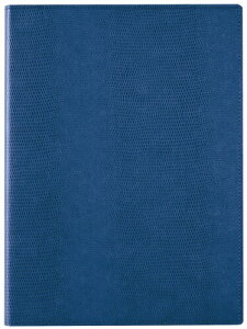 CC |[gpbh zeitVektor A4 lCr[ ZVP283K