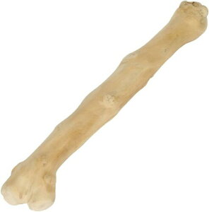 [N(ROOKCRAN) p [v JtFEbh `v XL  ʂ q O v ^ ^  킢 067504