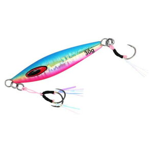 �_�C��(DAIWA) ���[���P�[�X �\���e�B�K FK�W�O SLJ 60g MG�u���s��