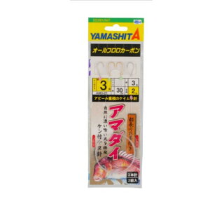 }V^(YAMASHITA) A}_Cd| AMD2E 4-3-3 600-681