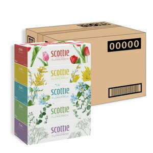 eBbV  500(250g) 20 XRbeB t[{bNX (RpNgP[Xi)