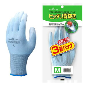 V[O[u(Showaglove) No.260sb^w MTCY u[ 3opbN