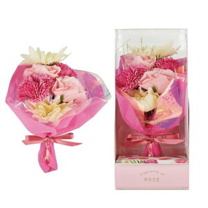 fCYCu[ oXt[u[P [Y̍(ԑ ԕ AeB[N g oXMtg v[g)