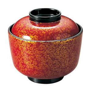 Ntg ϔM Ezo Ìy 12023720