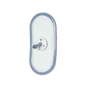 哌vX ( DAITO PRESS ) obN~[ D250  DI-41