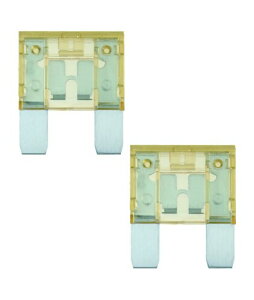 I[fBIeNjJ MAXI-80A MAXIq[Y 80A 2