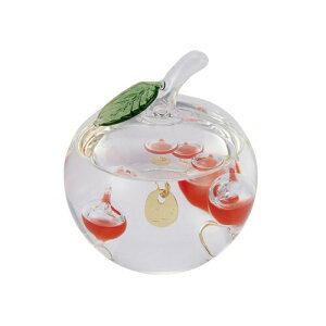 JY(Chatani) Fun Science(t@TCGX) KXt[gxv  333-218