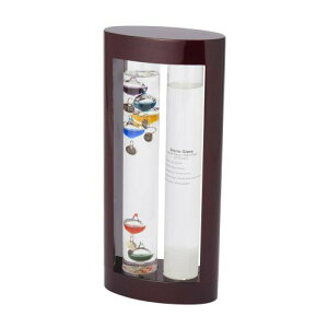 iJ JY xv&Xg[OX V_[(I[o) 333-279ut@ TCGX(Fun Science)v 28(h)×12.5×6cm