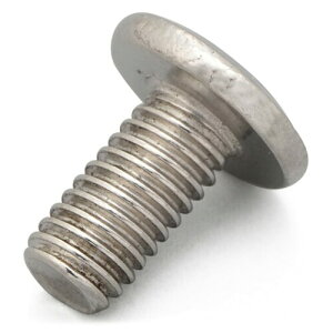 fCgi(Daytona) oCN X}zz_[ Ci(17232/17234p) XChECOŒ{g 19156