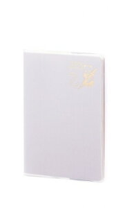 CC 蒠 2025N XPW[ |_CA[ }X[ ubN |PbgTCY oCIbg RFD25111V 2025N 4n܂Ή