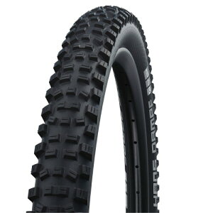 Vx(SCHWALBE) AubNA29x2.35C`B
