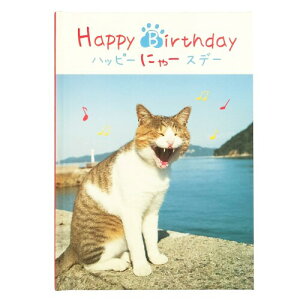 wXeCt aJ[h Happy Birthday nbs[ɂ[Xf[ V ˂ B10045