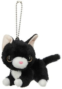 fUC 傪 傱ƃ}XRbg n`L ʂ S8cm