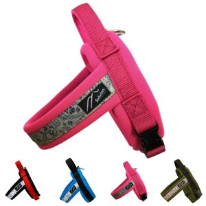 Hakusan(nNT) IWin[lXWXgtBbghSn[lX (TCY00, sN×sN)