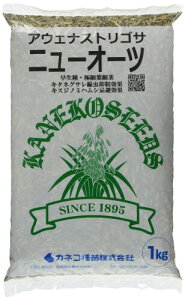 AEFi XgST j[I[c 1kg JlRc SH