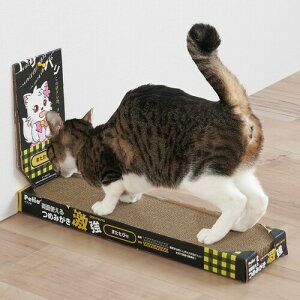 �y�e�B�I (Petio) �L�p�������� ���ʎg����߂݂��� ����