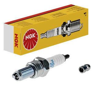 {ꓩ(NGK) Xp[NvO lW^ CR7E