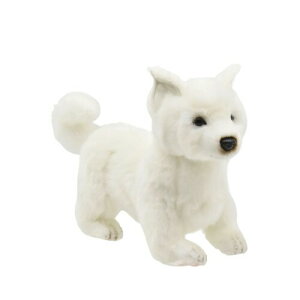 BH8348 HANSA St wbhJo[ p^[ kC