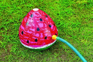 CKV V[XCJ 30×26cm PAA-FW RD ^