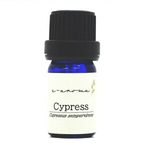 TCvX 10ml e-aroma GbZVIC  A}IC (10ml)