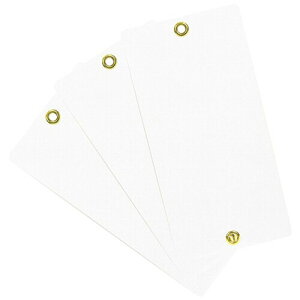 ZteB[3(Safety-3) ؃x 3  100×200mm