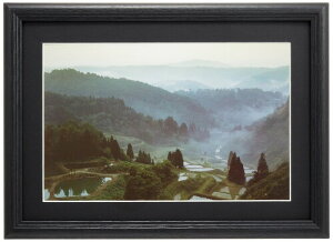 FUJICOLOR z YM-3 B Ch6 ؐ ubN 63361