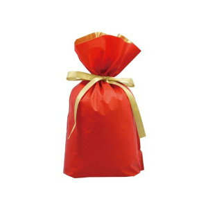 カクケイ 巾着袋 梨地 リボン付 底マチ付 M 20枚 レッド FK2403