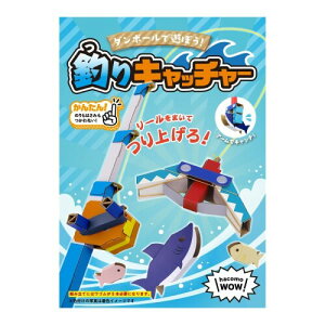 nR(hacomo) WOW ނLb`[ 6779 _{[HLbg