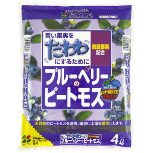 �Ԃ����� �u���[�x���[�̖������s�[�g���X �y����_���ɂ��� 4L