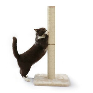 Linecoichij oo߂Ƃ|[  (L{)